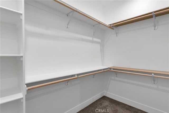 walk in closet with dark colored carpet