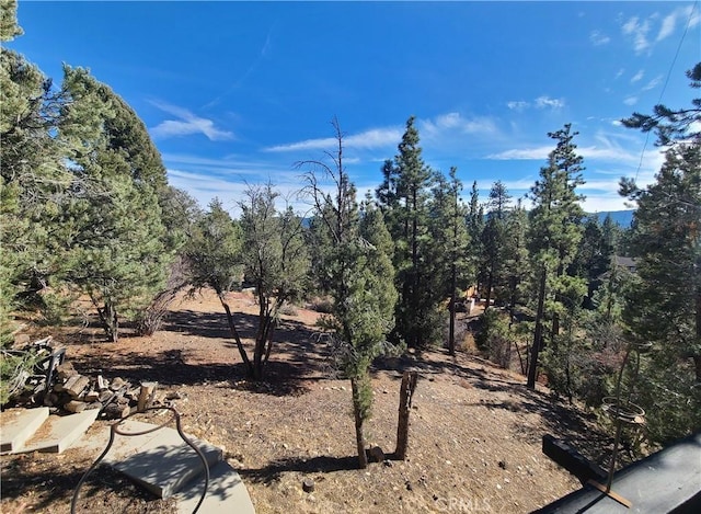 1101 Nana Ave, Big Bear City, CA 92314 - photo 9