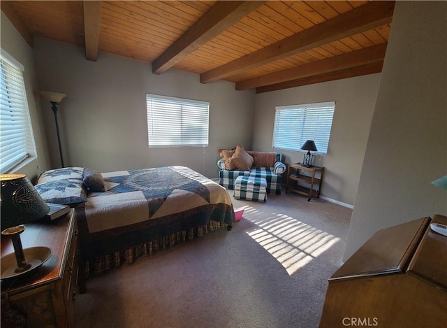 1101 Nana Ave, Big Bear City, CA 92314 - photo 27