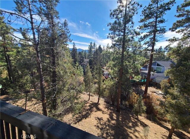 1101 Nana Ave, Big Bear City, CA 92314 - photo 8