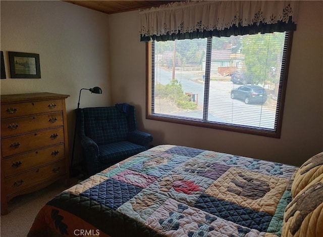 1101 Nana Ave, Big Bear City, CA 92314 - photo 43