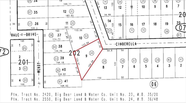 1101 Nana Ave, Big Bear City, CA 92314 - photo 50