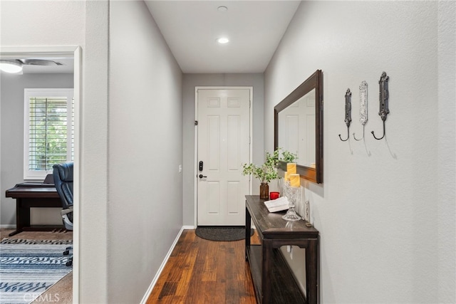 doorway to outside featuring dark hardwood / wood-style flooring