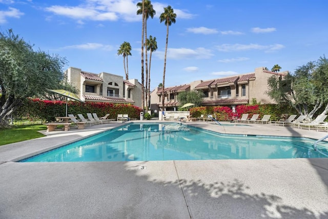 view of swimming pool with a patio area