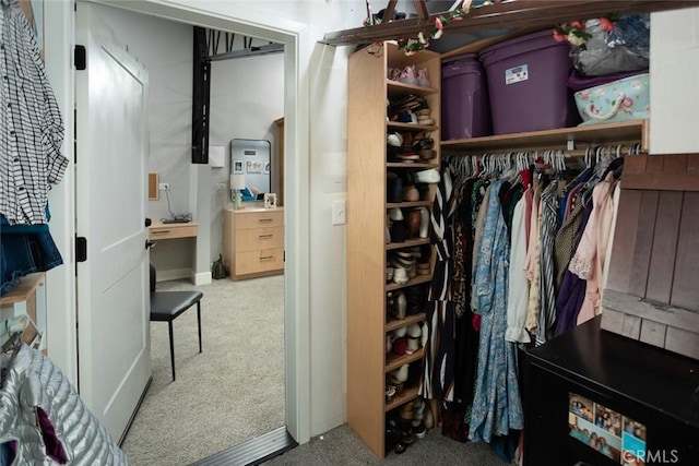 spacious closet featuring light carpet