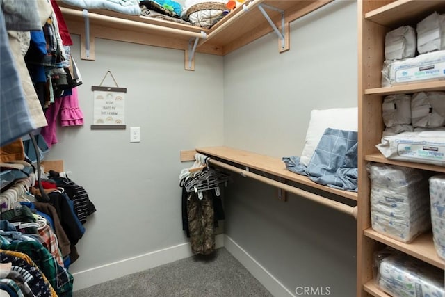 spacious closet featuring carpet flooring