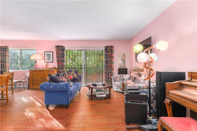 living room featuring hardwood / wood-style flooring