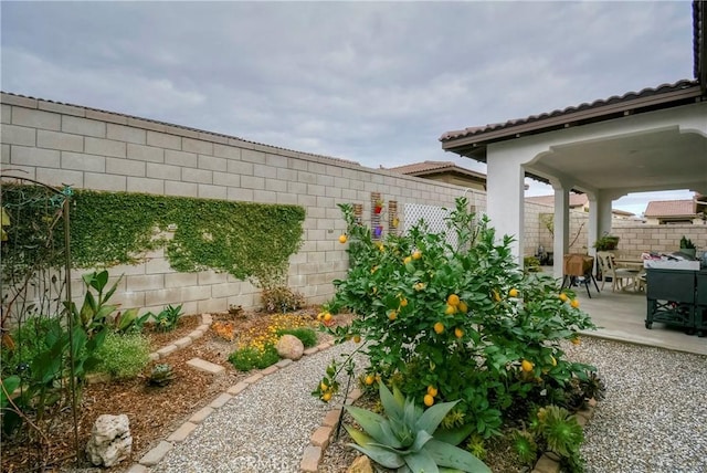 view of yard with a patio