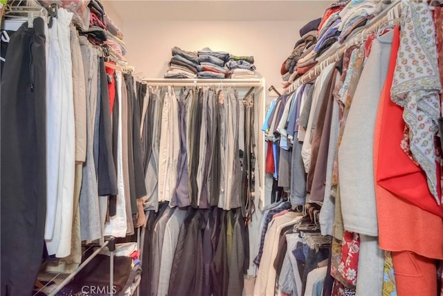 view of spacious closet