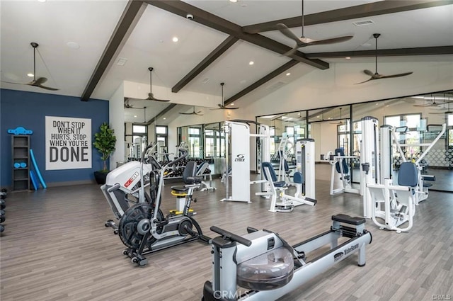 workout area featuring hardwood / wood-style flooring, high vaulted ceiling, and a wealth of natural light