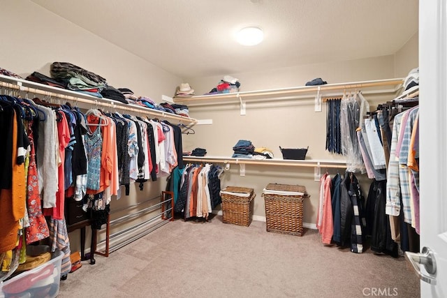 spacious closet with carpet floors