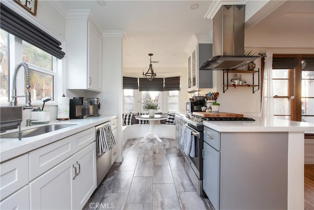 kitchen featuring white cabinetry, island range hood, plenty of natural light, and stainless steel appliances