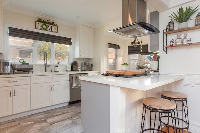 kitchen featuring white cabinetry, sink, range hood, and appliances with stainless steel finishes