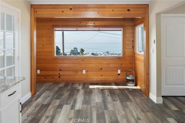 interior space with dark hardwood / wood-style floors and wood walls