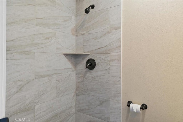 room details with tiled shower