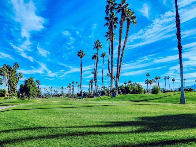 view of property's community with a lawn