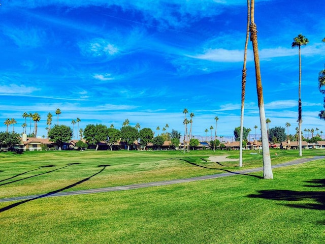 view of home's community with a lawn