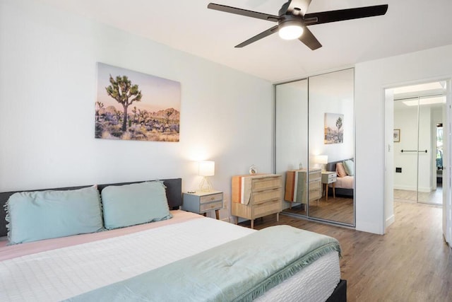 bedroom featuring ceiling fan, hardwood / wood-style floors, and two closets