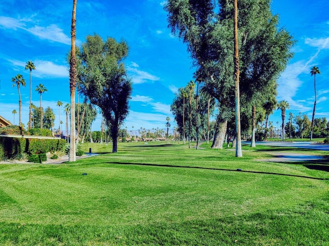 view of property's community featuring a yard