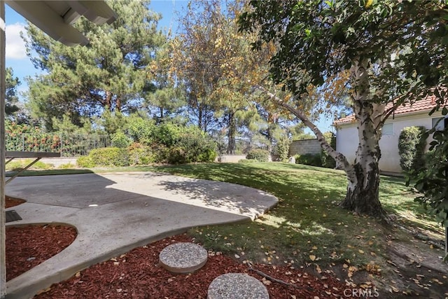 view of yard featuring a patio