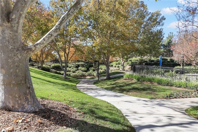 view of community with a yard