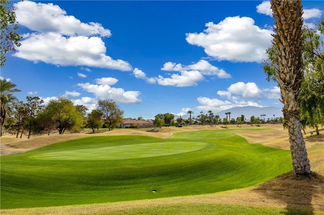 view of home's community featuring golf course view and a yard