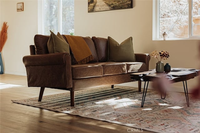 living room featuring wood-type flooring