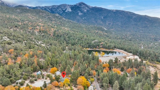 property view of mountains with a water view