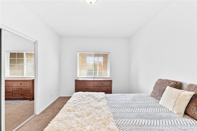 bedroom featuring carpet floors