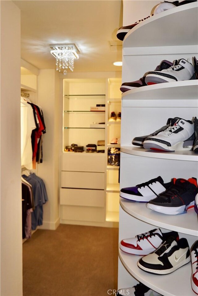 spacious closet with carpet flooring