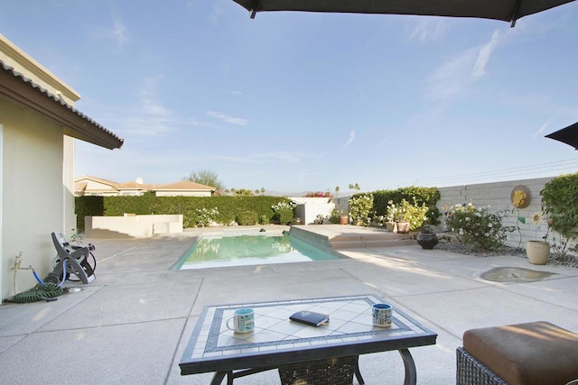 view of pool with a patio