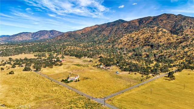 birds eye view of property with a mountain view