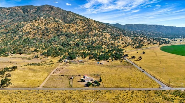 aerial view with a mountain view and a rural view