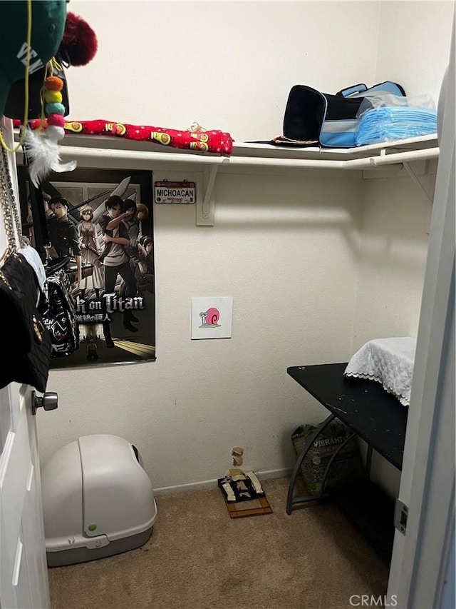 spacious closet featuring carpet floors