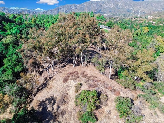 0 Live Oak Canyon Rd, La Verne, CA 91750 - photo 12