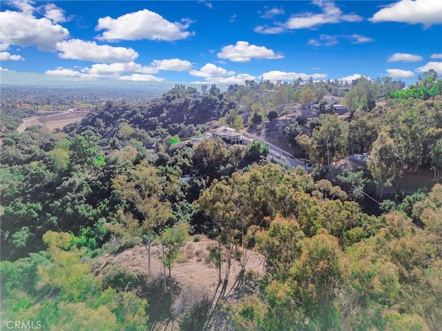 0 Live Oak Canyon Rd, La Verne, CA 91750 - photo 15