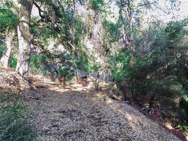 0 Live Oak Canyon Rd, La Verne, CA 91750 - photo 8