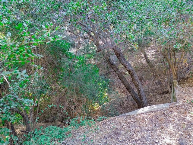 0 Live Oak Canyon Rd, La Verne, CA 91750 - photo 21