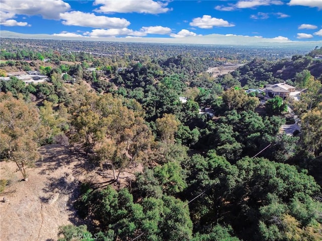 0 Live Oak Canyon Rd, La Verne, CA 91750 - photo 18