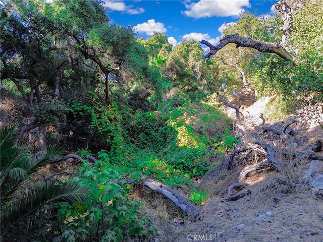 0 Live Oak Canyon Rd, La Verne, CA 91750 - photo 19