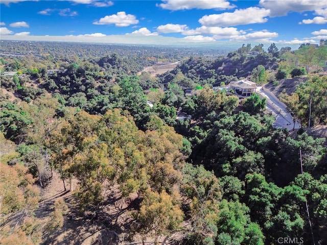 0 Live Oak Canyon Rd, La Verne, CA 91750 - photo 17