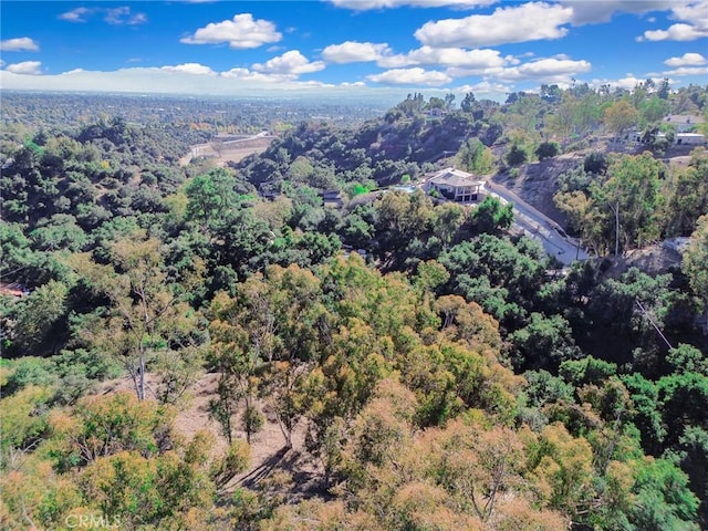 0 Live Oak Canyon Rd, La Verne, CA 91750 - photo 16