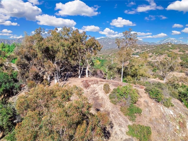 0 Live Oak Canyon Rd, La Verne, CA 91750 - photo 10