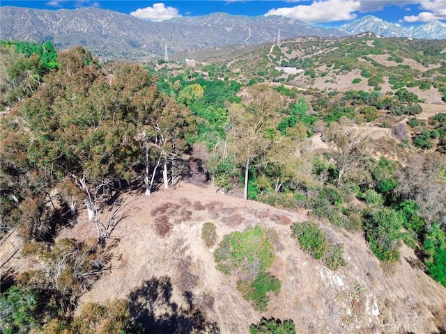 0 Live Oak Canyon Rd, La Verne, CA 91750 - photo 11