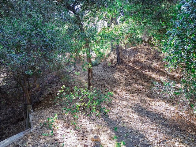 0 Live Oak Canyon Rd, La Verne, CA 91750 - photo 20