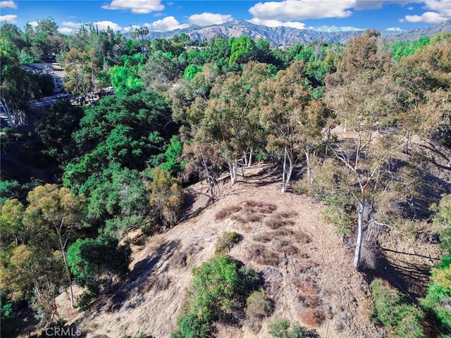 0 Live Oak Canyon Rd, La Verne, CA 91750 - photo 13
