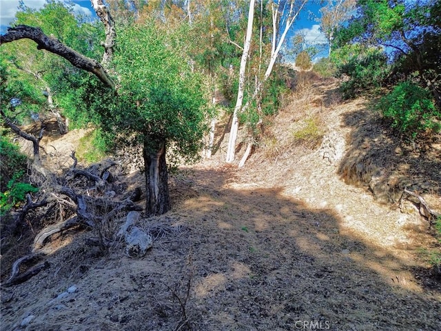 0 Live Oak Canyon Rd, La Verne, CA 91750 - photo 9