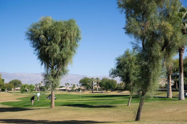 view of property's community with a mountain view and a yard