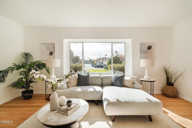 living room with hardwood / wood-style flooring