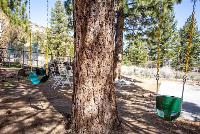 view of jungle gym